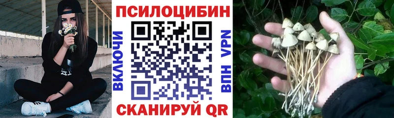 хочу   Северо-Курильск  Галлюциногенные грибы MAGIC MUSHROOMS 